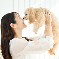 ペットと暮らせる おすすめ物件
